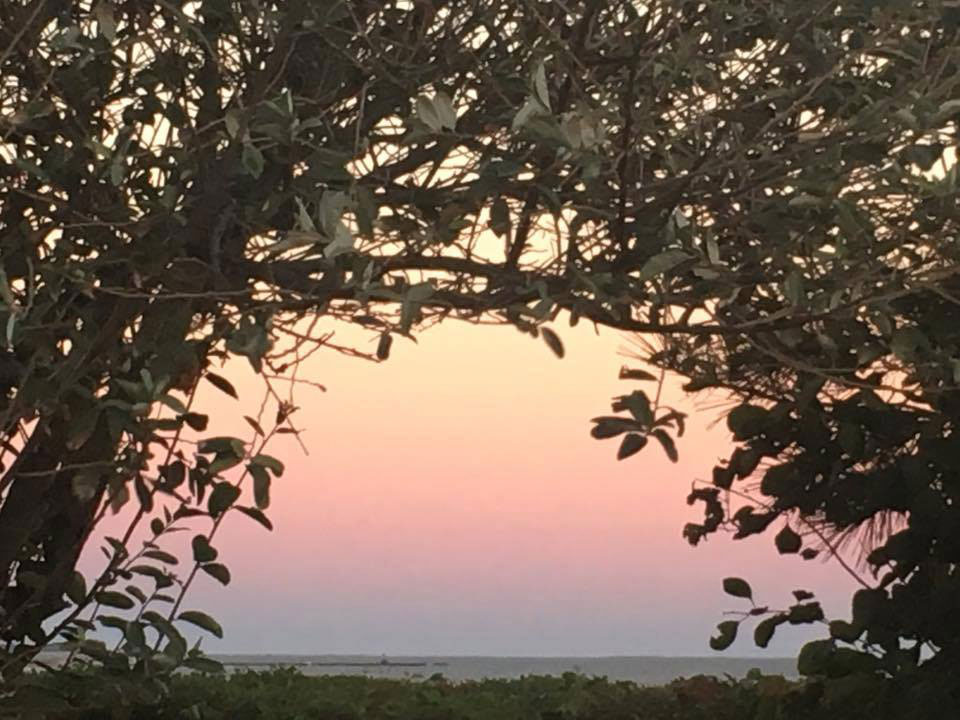 Nantucket Sound from WahWahTaysee Road, Harwich Port. Photo by Kathy Clark, Wayland